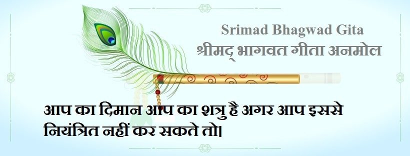 best quotes from bhagavad gita on success