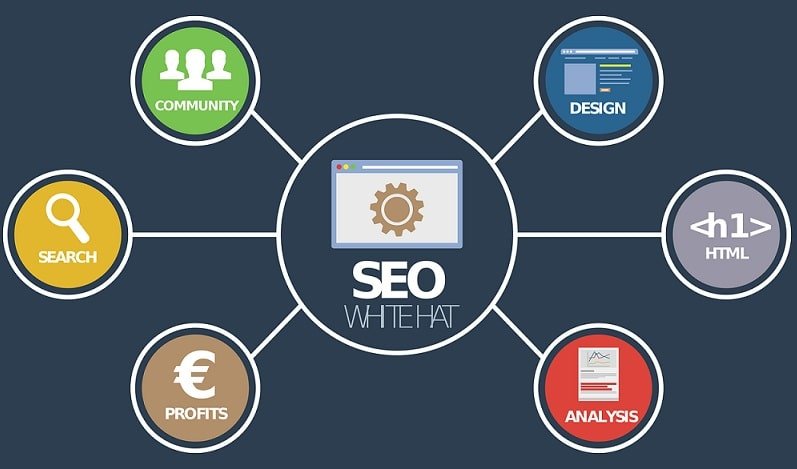 White Label SEO for Business