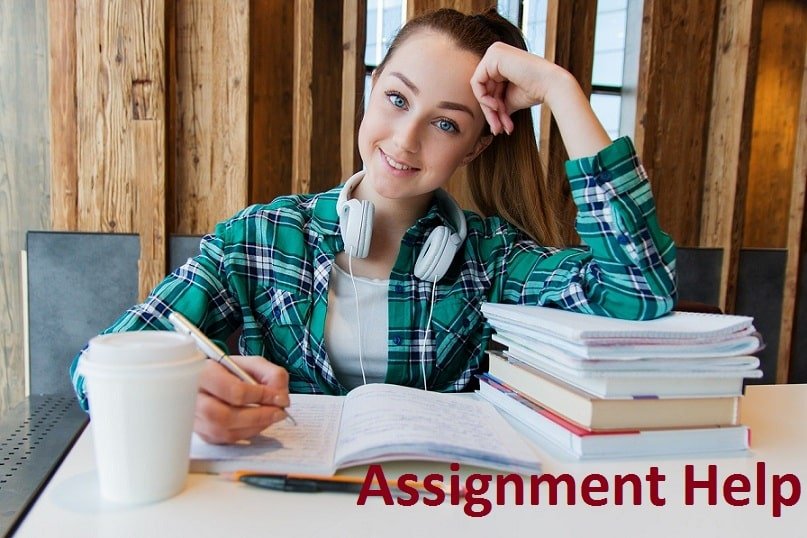 please do my assignment for me