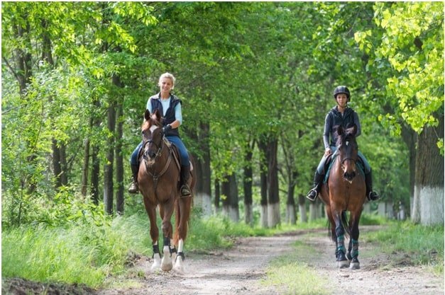 Benefits of Horseback Trail Riding