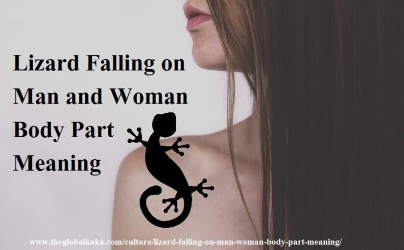 Lizard Falling on Man Woman Body Part Meaning
