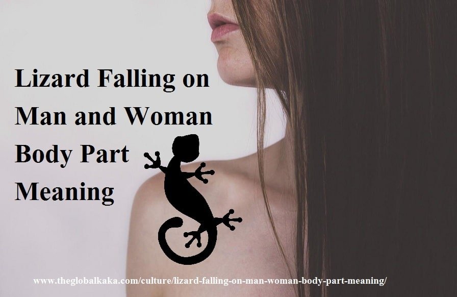 lizard-falling-meaning-for-male-and-female